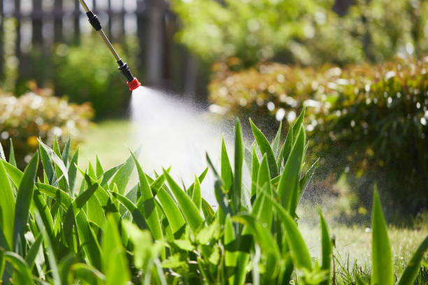 24/7 Emergency Wasp Removal experts in Webster, SD